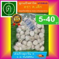 ราคา แป้งสาโท ด.เด็ก [5-40 ลูก] เกรดเอ ส่งเร็วทุกวัน ลูกแป้ง ลูกแป้งสาโท เชื้อแรง รสชาติดี หอม อร่อยถูกปาก (41054579716)