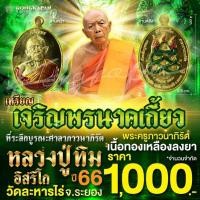 ราคา เหรียญเจริญพรนาคเกี้ยวที่ระลึกบูรณะศาลาภาวนาภิรัต เนื้อทองเหลืองลงยา ปี 66 หลวงปู่ทิม (26558578130)