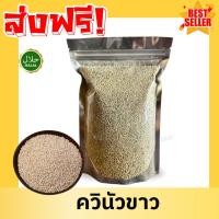 ราคา Q ควินัวขาว White Quinoa (เม็ดใหญ่) เมล็ดควินัว เม็ดควินัว ควินัวขาว ควินัว คีนัว ครีนัว ออร์แกนิค เมล็ดควินัว (43326403600)