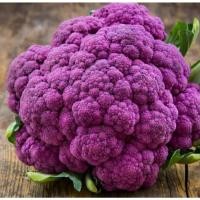 ราคา เมล็ดพันธุ์กะหล่ำดอกสีม่วง Purple Cauliflower Seed บรรจุ 100 เมล็ด นำเข้าจากต่างประเทศ ของแท้ คุณภาพดี ราคาถูก (17279980988)