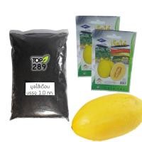 ราคา ชุดปลูกผักสวนครัว เมล็ดเมล่อน รักบี้บอล 2 ซอง พร้อมมูลไส้เดือน น้ำหนัก 1 กก. F1 (2159214587)