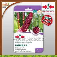 ราคา เมล็ดพันธุ์ข้าวโพด ข้าวโพดข้าวเหนียวหวาน มณีแดง F1 (แบบซอง) เมล็ดข้าวโพดม่วงศรแดง เมล็ดพันธุ์ผักสวนครัว ตราศรแดง (15593694410)