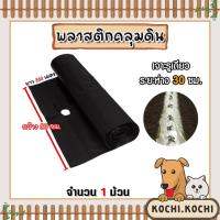 ราคา พลาสติกคลุมดิน 1 ม้วน แบบเจาะรูห่าง 30 ซม. สีดำ ยาว360เมตร กว้าง 80 cm.| คลุมแปลงเกษตร พลาสติกคลุมดิน (24370201611)