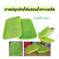 ราคา ถาดปลูกผักไร้ดิน ปลูกต้นอ่อน เพาะเมล็ด (รุ่นถาดลึก)​ (14550246997)