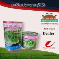ราคา เมล็ดพันธุ์ มะเขือเปราะน้ำหยดราชบุรี#29 20g 50g #เมล็ดพันธุ์มะเขือเปราะ #ขายเมล็ดพันธุ์ #จำหน่ายเมล็ดพันธุ์ (10504958168)