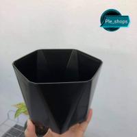 ราคา กระถางต้นไม้ ทรงเหลี่ยมหกเหลี่ยม (เพชร)​ 5 นิ้ว กระถางหกเหลี่ยม ( สีขาว - สีดำ)​ กระถางพลาสติกเงาสวย (10213950682)