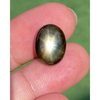 ราคา พลอย แบล็ค สตาร์ แซฟไฟร์ Black Star Sapphire 16.28 กะรัต (Cts.) ดิบ Unheated พลอยแท้ (16622583938)