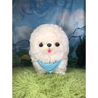 ราคา ตุ๊กตา สุนัข น้องหมา わたぽめ pomeranian ปอมปอม ปอมเมอเรเนียน ตัวใหญ่ ตกแต่งห้อง สะสม (22441145763)