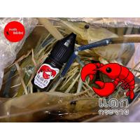 ราคา ตกกุ้ง หัวเชื้อตกกุ้งแดกกระจาย สูตรเข้มข้นสูง กุ้งจับไวมาก ตกกุ้งบ่อ กุ้งแม่น้ำ (28867594429)