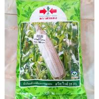 ราคา ข้าวโพดสวีทไวท์ ฝักขาว ข้าวโพดข้าวเหนียวหวานศรแดง 1กก./200ก. (7017698392)