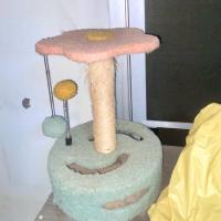 ราคา ของเล่นน้องแมว คอนโดแมว mini มือสอง (26292894141)