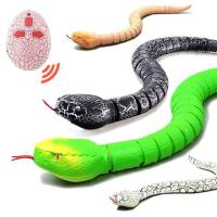 ราคา งูบังคับวิทยุ Innovation Snake (1302595431)
