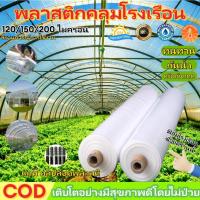 ราคา พลาสติกโรงเรือน พลาสติกใส พลาสติกPE หนา 120/150/200 ไมครอน โรงเรือน โรงเรือนเพาะชำ พลาสติกคลุมโรงเรือน พลาสติกใสโรงเรือน (40272743759)