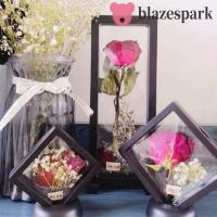 ราคา Blazespark ดอกไม้แห้งกล่องเก็บ, 3D พลาสติกใสดอกไม้กรอบแสดงพืช,Reusable Antioxidant กล่องเก็บเครื่องประดับต่างหู Studs Storage (26525932517)