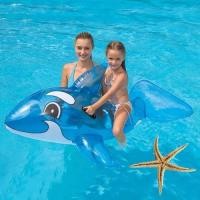 ราคา แพยาง ปลาโลมาสีฟ้าใส (25491638874)