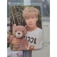 ราคา Seventeen Wonwoo Teddy Dicon (40955746090)