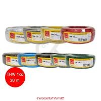 ราคา Thai Union THW 1x6 30ม. Copper Conductor 450/750V PVC 70 สายไฟ THW by ckonline (51200732308)