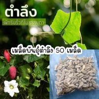 ราคา เมล็ดพันธุ์ตำลึง ผักพื้นบ้าน 50 เมล็ด (11341552396)