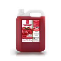 ราคา ซอสมะเขือเทศตราม้าบิน ขนาด 5,000 กรัม (21080944796)