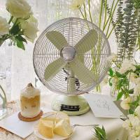 ราคา สีเขียวอ่อน Retro Vintage พัดลมไฟฟ้าพัดลมตั้งโต๊ะ Nostalgic เดสก์ท็อปขนาดเล็กในครัวเรือนนักเรียนสํานักงานโบราณเขย่าหัว v (46251640272)