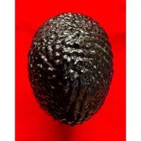 ราคา เบี้ยแก้หลวงปู่เจือ วัดกลางบางแก้ว ของแท้ ลงรักดำ รูปทรงมาตรฐาน (29586051424)