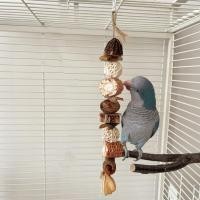 ราคา B-110 ของเล่นขัดฟันนกแก้ว ของเล่นนก ของเล่นหัดกัดแทะ วัสดุธรรมชาติ 35cm (43419092549)