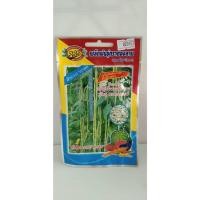 ราคา ถั่วฝักยาวเมล็ดขาว 333 สายสวรรค์ B (24750906193)