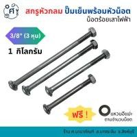 ราคา น็อตหัวกลม น็อตร้อยเสา น็อตปั๊มเย็น 3/8 (3 หุน) (27293124416)