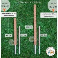 ราคา ราคาแพคคู่ เสาไม้เลื้อย/เสาไม้เลื้อยมินิมอล/เสาใยมะพร้าว/เสาไม้เลื้อยจากใยมะพร้าว/หลักไม้เลื้อย/หลักต้นไม้/ (7559863470)