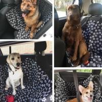 ราคา เบาะรองกันเปื้อนในรถสำหรับสุนัข เบาะสุนัขในรถ ผ้าคุมเบาะหลังรถยนต์ แผ่นรองเบาะสำหรับรถยนต์ GAO (10510501431)