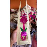 ราคา ซีนิกาเล็ก / ซีนิกาเล็ก / ซีนิกาเล็ก (43074554169)