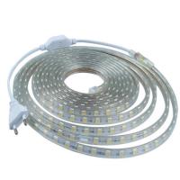 ราคา ไฟเส้นสายยาง ความยาว 2 เมตร ไฟเส้นแอลอีดีราคาถูก,ไฟเส้นประดับตกแต่ง LED ROPE LIGHT กันน้ำ IP65 ฟรีปลั๊กหัวจ่าย (2174041540)