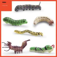 ราคา [Predolo] 6 ชิ้น 3D จําลองตัวอ่อนรุ่นการเรียนรู้ความรู้ความเข้าใจของเล่นการสอน Aid คอลเลกชันหนอนของเล่นหนอนปลอม (49600110179)