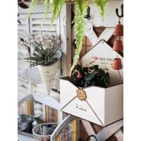 ราคา สวน Succulent กระถางดอกไม้ซองจดหมายตกแต่งแขวนผนังดีบุกศิลปะเหล็กกลางแจ้งระเบียง Courtyard กระถางดอกไม้ดอกไม้ Ware หน้าต่าง Sill MMYF (42121738166)