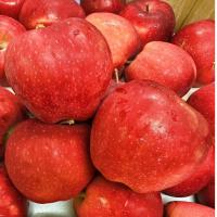 ราคา ส่งด่วน "แอ ป เปิ้ ล วอ จีน" (แอปเปิ้ลวอชิงตัน) หวานกรอบ (42124316037)