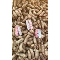 ราคา ถั่วดินดิบ ถั่วลิสงดิบ ขนาด 1 กิโลกรัม (27628612164)