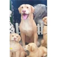 ราคา ตุ๊กตาน้องหมาแต่งบ้าน ลาบราดอร์ (ตัวใหญ่) (23025708267)