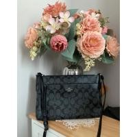 ราคา coachแท้ กระเป๋าสะพายข้างF58316มือสอง (21472500814)