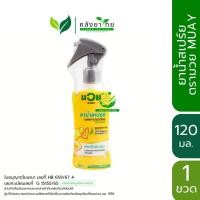 ราคา MUAY มวย สเปรย์ บรรเทาปวดเมื่อย ตรามวย น้ำมันมวย ขนาด 40/120 ml. (25770311472)