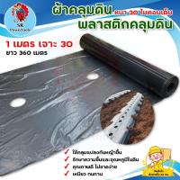 ราคา ผ้าคลุมดิน/พลาสติกคลุมดิน 1 เมตร x ระยะห่างเจาะรู 30 ซม.(30 ไมคอนเต็ม ) ความกว้าง 1 เมตร (22920340835)