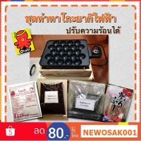 ราคา ชุดทำทาโกะยากิ วิธีทำทาโกะยากิแบบมืออาชีพ ด้วยเตาทาโกะยากิแบบไฟฟ้า 22 หลุมและชุดแป้งทาโกะยากิ สร้างอาชีพด้วยต้นทุนต่ำ (5611340562)