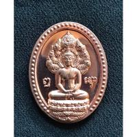 ราคา พระนาคปรก เหรียญไม่มีห่วง หลังพระธาตุพนม อายุวัฒนมงคล 74 ปี พระเทพวรมุนี ปี 2557 เนื้อทองแดงขัดเงา ขนาด 2.3x3.0ซม. (21770976582)