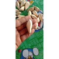 ราคา (10ตัว)บอดี้ กบกระโดดทรงสามเหลี่ยม หลังแอ่น ตัวเหยื่อทำจากไม้โมกมัน ขนาดตัวเหยื่อ 4 เซ็น ฝังลงแล้ว สำหรับตกปลาล่าเหยื่อ (19350239969)