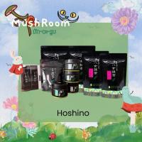 ราคา Hoshino Yame Matcha มัทฉะ โทนถั่วว (40854182390)