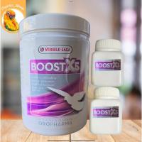 ราคา แบ่งแพ็ค เพิ่มพลังงาน เสริมกล้ามเนื้อ บูสท์ 5 เท่า!! ชนิดผง Boost X5 เสริมนก 20 กรัม (26660195082)