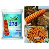 ราคา แปซิฟิค 278 - พันธุ์ข้าวโพดเลี้ยงสัตว์ (5332326737)
