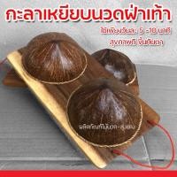 ราคา กะลาเหยียบนวดเท้า กะลามะพร้าวนวดเท้า นวดหลัง กะลานวดฝ่าเท้า กะลานวดเท้า (13099842147)