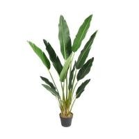 ราคา FREE HOME ต้นไม้ประดิษฐ์ ต้น BIRD OF PARADISE ประดิษฐ์ 150 ซม. (8233452074)