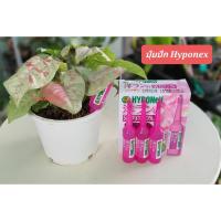 ราคา Hyponex ปุ๋ยน้ำ นำเข้าจากญี่ปุ่น (11960531121)