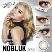 ราคา คอนแทคเลนส์สีเกาหลีรายเดือน รุ่น Nobluk และ Mini Nobluk สี Gray (1 Pair) (27606046246)